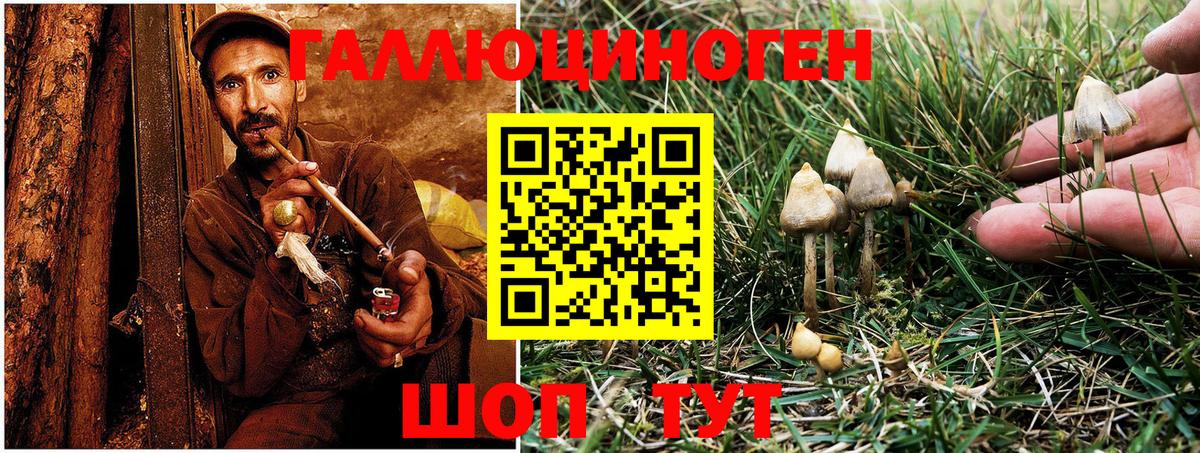 Галлюциногенные грибы MAGIC MUSHROOMS  Галлюциногенные грибы мухоморы  Новочеркасск  наркота  Вход с VPN 